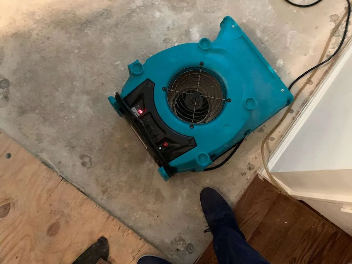 Air mover drying subfloor during Commercial Water Damage Restoration in Ponchatoula